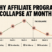 Line graph showing affiliate program activity rising from month 1 to month 3 then dropping sharply at month 4, labeled the collapse, with five foundation cracks identified below: no vetting, no onboarding, no follow-up, no activation, no audit